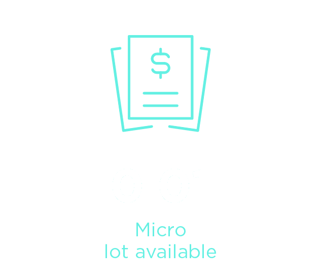 title image-0